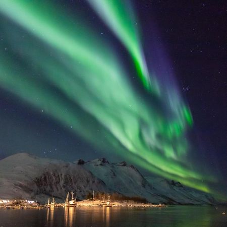 Arctic City Studio - Perfectly Located In The Main Street Tromsø Zewnętrze zdjęcie